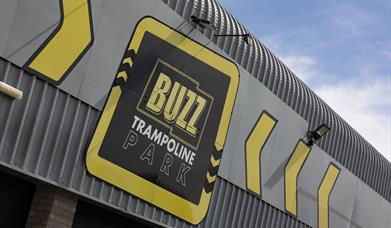 Buzz trampoline