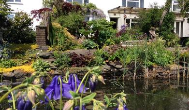 Cwmbach Guest House garden and pond