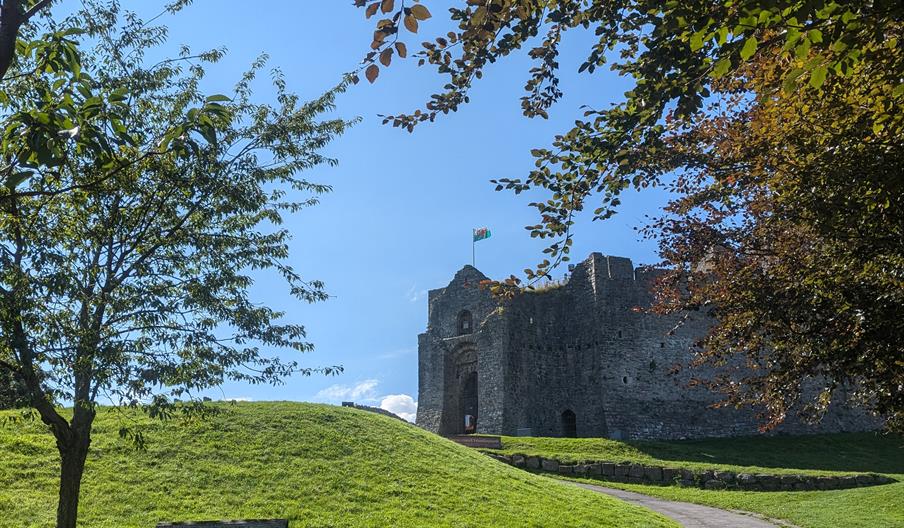 A photograph of the front of Oystermouth Castle