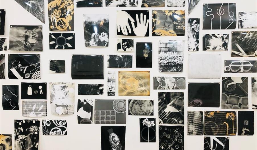 Elysium Gallery artwork on wall