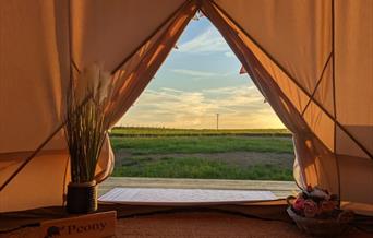 Panoramic Camping and Glamping view from inside tent