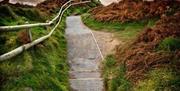 A path leading down to a beach in Gower