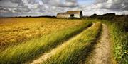 A house up a country lane