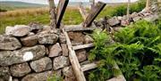 Wooden steps leaning against an old stone wall