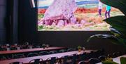 Film Screening at the Albert Hall Swansea