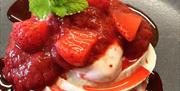 Britannia Inn fruit and ice cream dessert