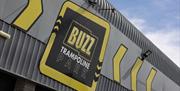 Buzz trampoline