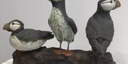 Ceramic - Puffins on ridge