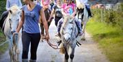 Clyne Farm Centre Horse Riding