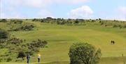 Clyne Golf Club & Somerfield Lodge golfers on course