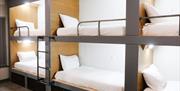Cwtsh Hostel bunk beds