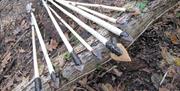 Dryad Bushcraft arrows