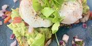 HQ Urban Kitchen eggs and avacado on toas