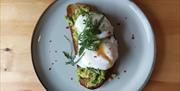 Avocado with poached eggs