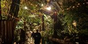 Jungle Escape at Plantasia rainforest at night
