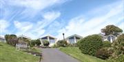 Newpark Holiday Park chalets on top of hill
