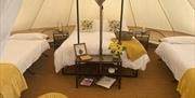 Panoramic Camping and Glamping sleeping area inside tent