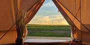 Panoramic Camping and Glamping view from inside tent