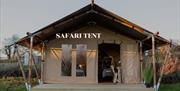 Panoramic Camping and Glamping view of a safari themed tent