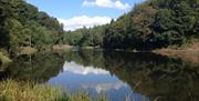 Penllergare Valley Woods view of lake