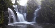 Penllergare Valley Woods view of waterfalls