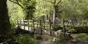Penllergare Valley Woods wooden bridge over stream