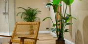 Revive Wellness Club showers with seating and a plant pot