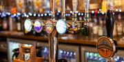 The Taproom Mumbles bar, with Gower Gold cask and Gower Brewery products on tap