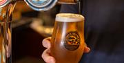 A pint of Gower Brewery Lighthousse lager being poured