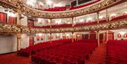 Swansea Grand Theatre auditorium, hundreds of red velvet seats and ornate gold balcony details.