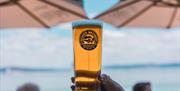 The Taproom Gower Brewery pint being held against backdrop