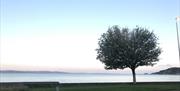 Tides Reach Guest House view of swanea bay
