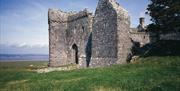 Weobley Castle exterior