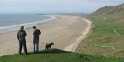 Two people walking their dog in Gower