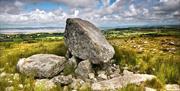 A stone in the middle of a field