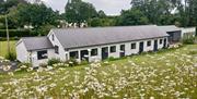 Delwedd o'r Cynnyrch